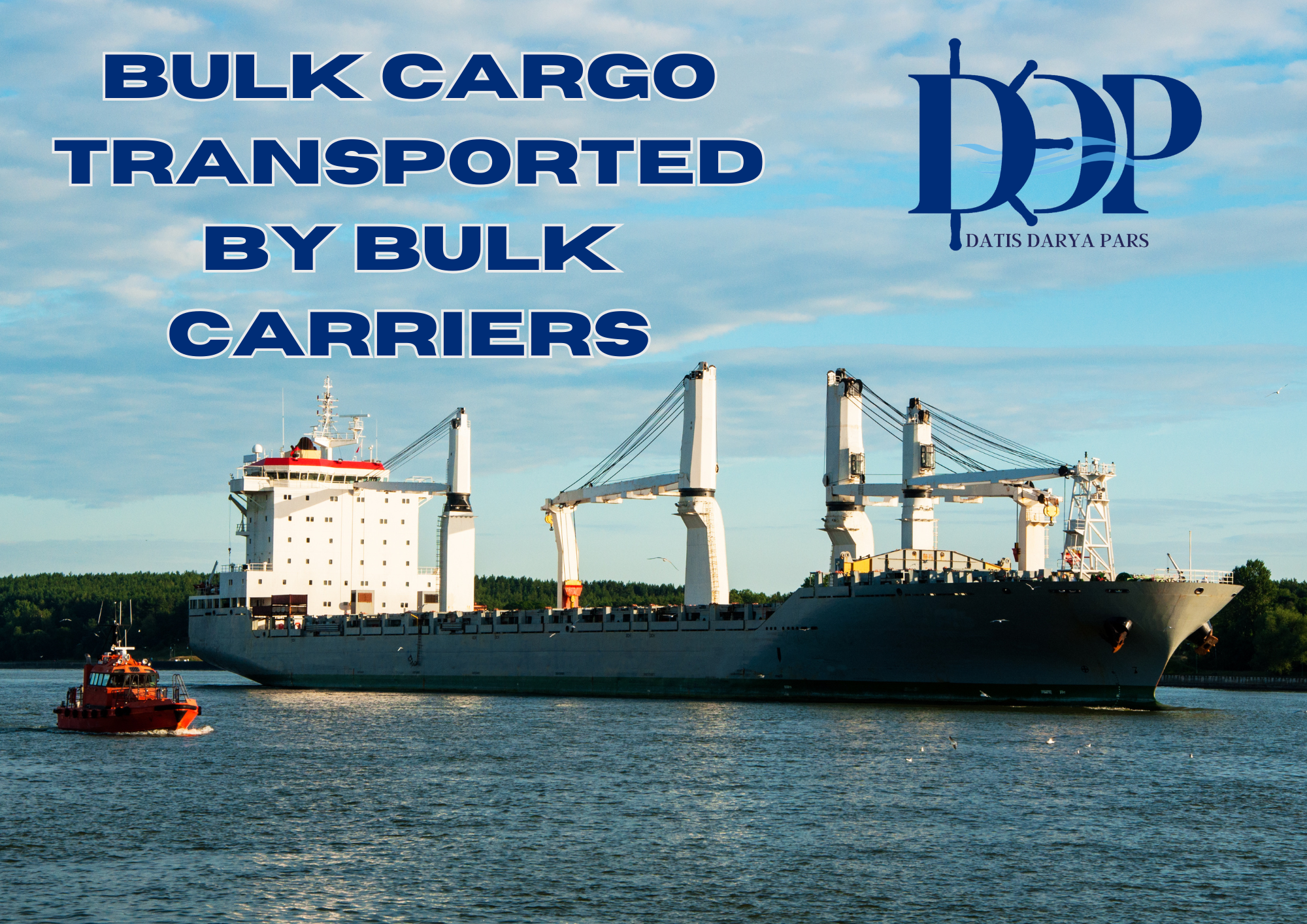 Bulk Cargo Transported by Bulk Carriers